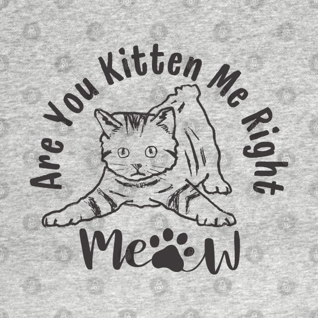 Are You Kitten Me Right Meow Funny Cat Lover Quote by Illustradise